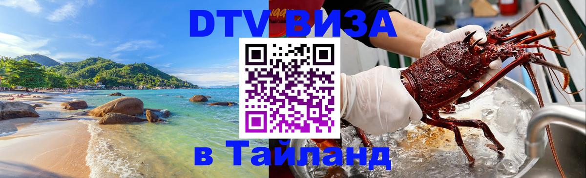 Сколько стоит DTV виза — актуальные цены, оформление даже без документов - 21.11.2025 